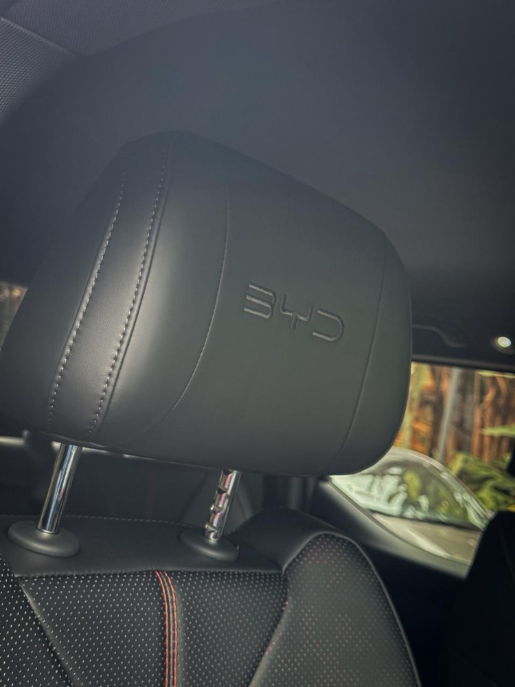 BYD Shark DMO GS — foto 2